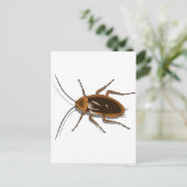 Realistisch-bruin-Cockroach Insect Briefkaart (Staand voorkant)