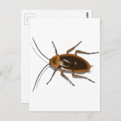 Realistisch-bruin-Cockroach Insect Briefkaart (Voorkant / Achterkant)