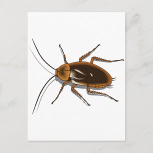 Realistisch-bruin-Cockroach Insect Briefkaart