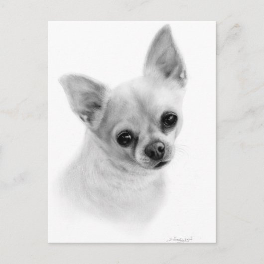 Realistisch Chihuahua Portret - olieverfschilderij Briefkaart (Voorkant)