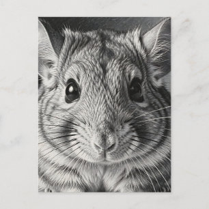 Realistisch Chinchilla-portretschets Briefkaart