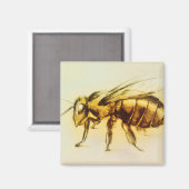 Realistisch gele Hornet-kunst, Square Magnet - Bee (Voorkant / Achterkant)
