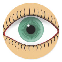Realistisch Grappig Menselijk Oog