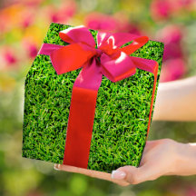 Realistisch grasfototextuur Fun Bright Green