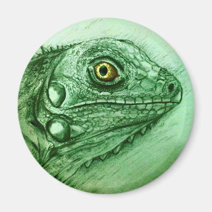 Realistisch groen reptielenart Ronde Magnet - Igua