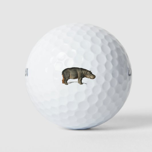 Realistisch Hippo Illustratie hippopotamus Golfballen (Voorkant)