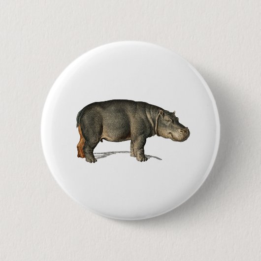 Realistisch Hippo Illustratie hippopotamus Ronde Button 5,7 Cm (Voorkant)