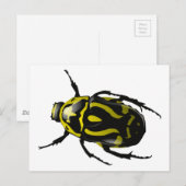 Realistisch hoornloos gele en zwarte vlek briefkaart (Voorkant / Achterkant)