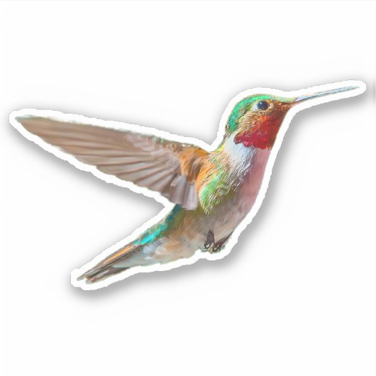 Realistisch Hummingbird Sticker (Voorkant)