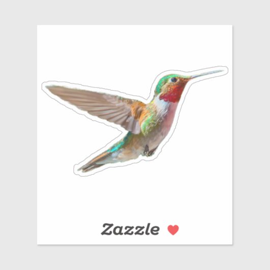 Realistisch Hummingbird Sticker (Vel)