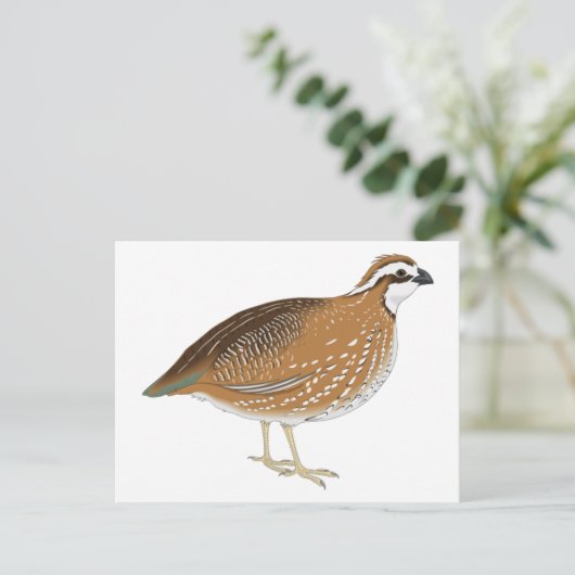 Realistisch kwartelvogel briefkaart (Staand voorkant)