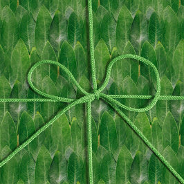 Realistisch leest fototextuur Fun Bright Green Cadeaupapier