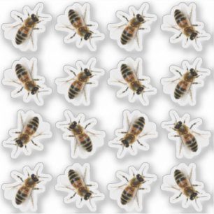 Realistisch Life-size Honeybee Imker Stickers