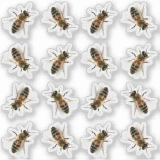 Realistisch Life-size Honeybee Imker Stickers