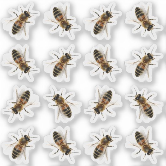 Realistisch Life-size Honeybee Imker Stickers (Voorkant)
