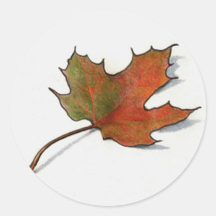 Realistisch maapleder: Kleurpotlood Art Ronde Sticker