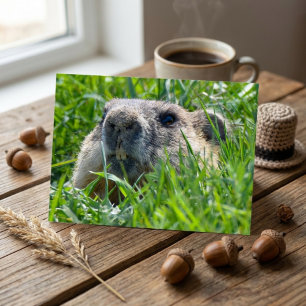 Realistisch marmotkopje dat door het gras gluurt K Briefkaart