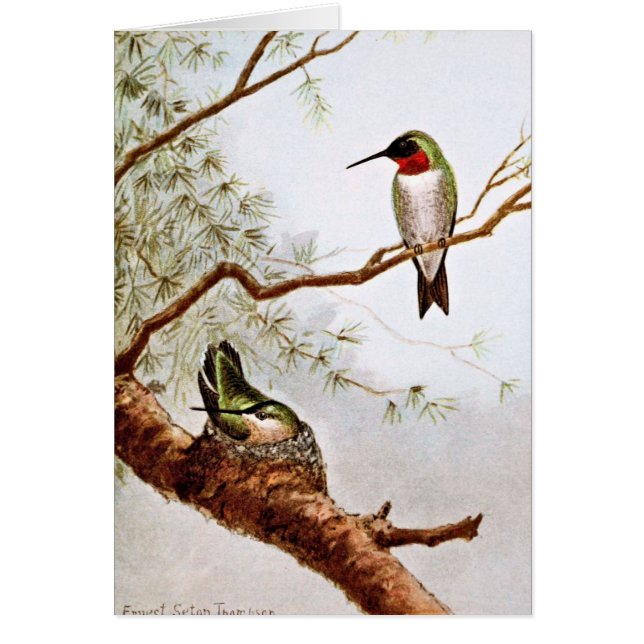 Realistisch met ruby-Throated Hummingbird Art (Voorkant)