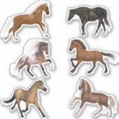 Realistisch Paard Stickers (Voorkant)