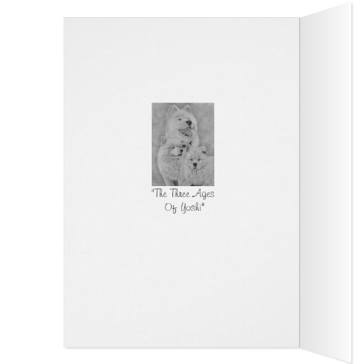 Realistisch portret witte akita hond (Binnen (Links))