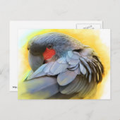 Realistisch schilderij van Black Palm Cockatau Briefkaart (Voorkant / Achterkant)