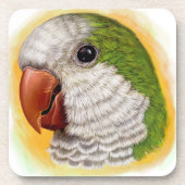 Realistisch schilderij van Quaker Parrot Bier Onderzetter (Voorkant)