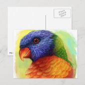 Realistisch schilderij van regenboogloriket briefkaart (Voorkant / Achterkant)