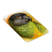 Realistisch schilderij van Senegal Magneet (Rechterzijde)