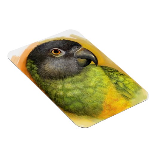 Realistisch schilderij van Senegal Magneet (Rechterzijde)