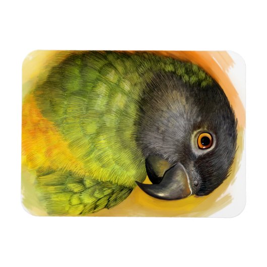 Realistisch schilderij van Senegal Magneet (Horizontaal)