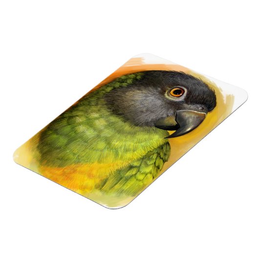 Realistisch schilderij van Senegal Magneet (Linkerzijde)