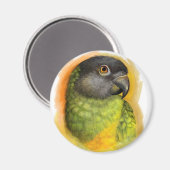 Realistisch schilderij van Senegal Magneet (Voorkant / Achterkant)