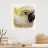 Realistisch schilderij van zwavelCrested Cockatau Poster (Keuken)