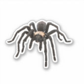 Realistisch Tarantula Spider Sticker (Voorkant)