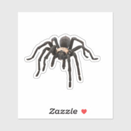 Realistisch Tarantula Spider Sticker