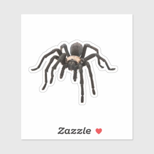 Realistisch Tarantula Spider Sticker (Vel)