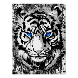 Realistisch tijger Poster Glossy - White Tiger Hea