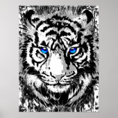 Realistisch tijger Poster - White Tiger Head (Voorkant)