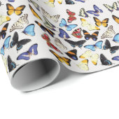 Realistisch vlinders collectie. cadeaupapier (Rol Hoek)