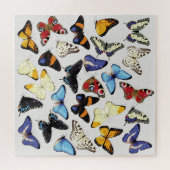 Realistisch vlinders collectie. legpuzzel (Horizontaal)