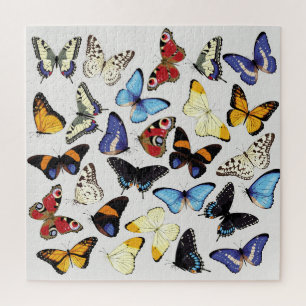 Realistisch  vlinders collectie. legpuzzel