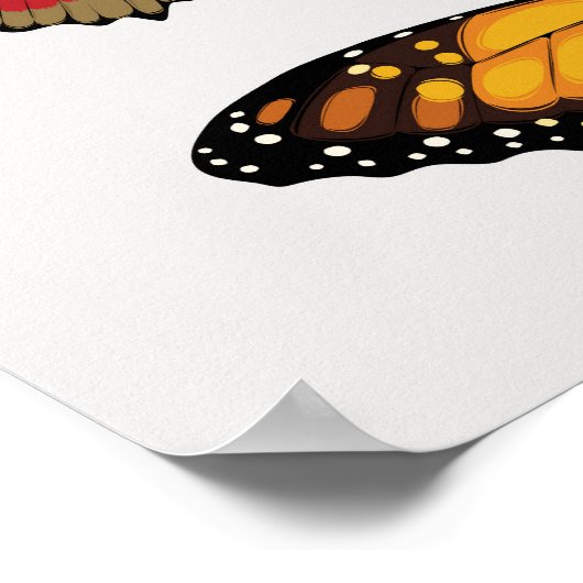 Realistisch  vlinders collectie. poster (Hoek)