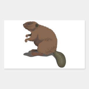 Realistische Bever Rechthoekige Sticker