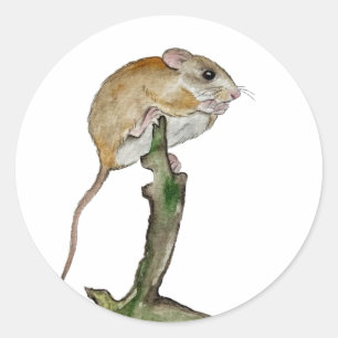 Realistische boommuis in een waterverf ronde sticker