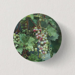 Realistische druivenrank met bladeren – Fijne Kuns Ronde Button 3,2 Cm