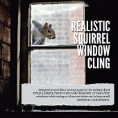 Realistische Eekhoorn Raamsluiting Raamsticker
