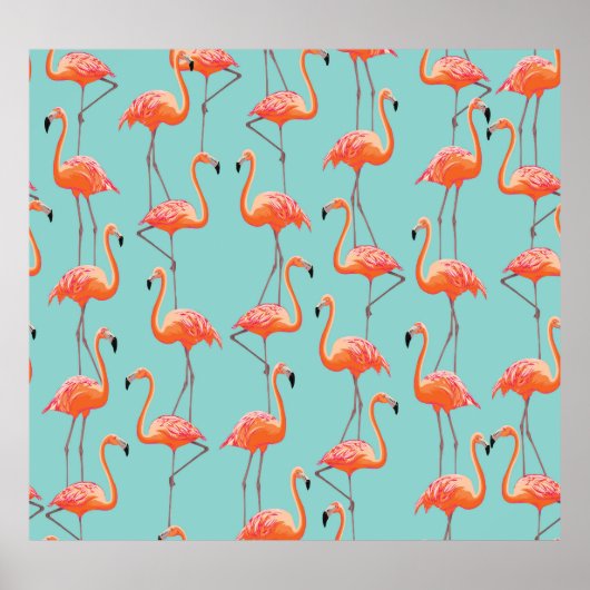 Realistische flamingo:  vogelpatroon poster (Voorkant)
