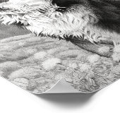 Realistische hond volwassen kleuring poster (Hoek)