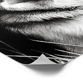 Realistische hond volwassen kleuring poster (Hoek)