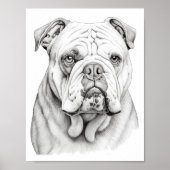 Realistische hond volwassen kleuring poster (Voorkant)